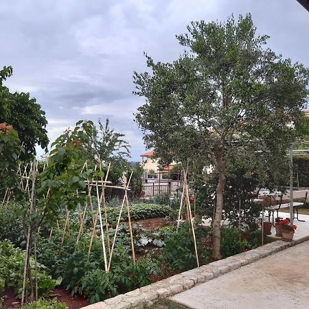 Apartment Thea Pula Bagian luar foto