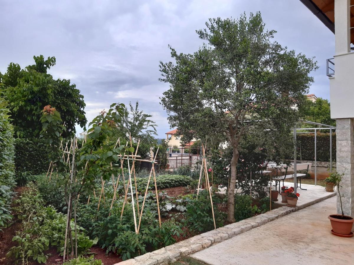 Apartment Thea Pula Bagian luar foto
